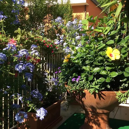 Hotel Donatello Cesenatico