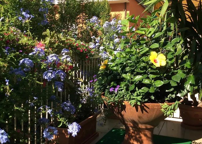 Otel Donatello Cesenatico