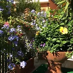 Hotel Donatello Cesenatico