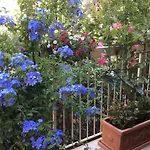 Donatello Hotel