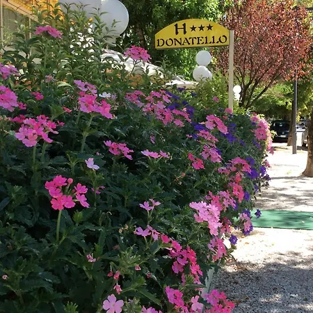 Donatello מלון