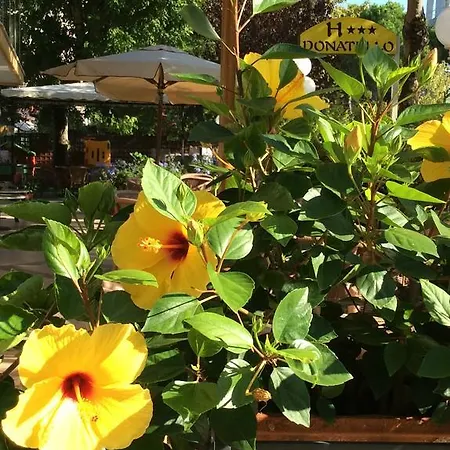 Donatello מלון 3*