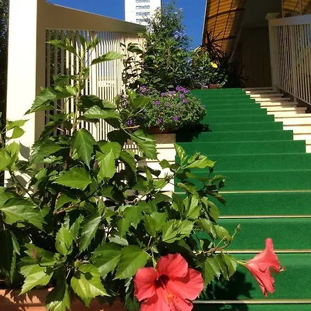 Donatello 3* צ'סנטיקו