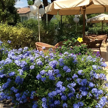 Donatello Чезенатико