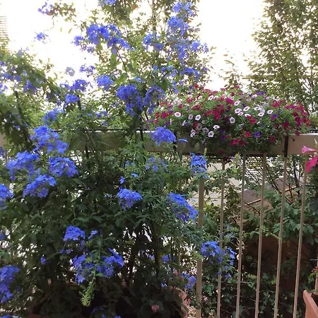 Donatello Отель