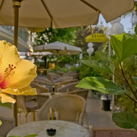 Отель Donatello Чезенатико