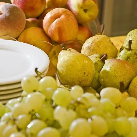 מלון Donatello 3*