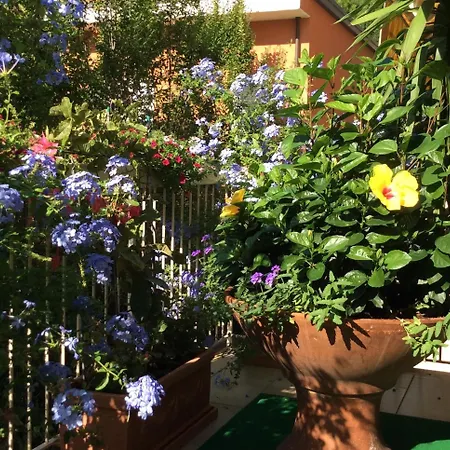 Отель Donatello Чезенатико