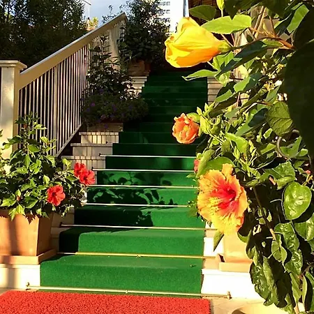 Hotel Donatello 3*