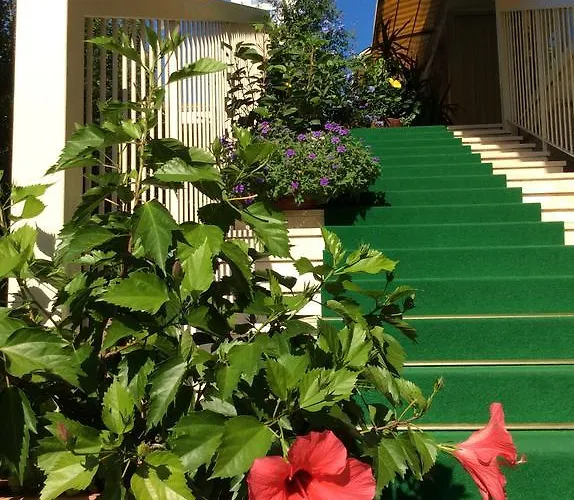 Donatello 3* Cesenatico