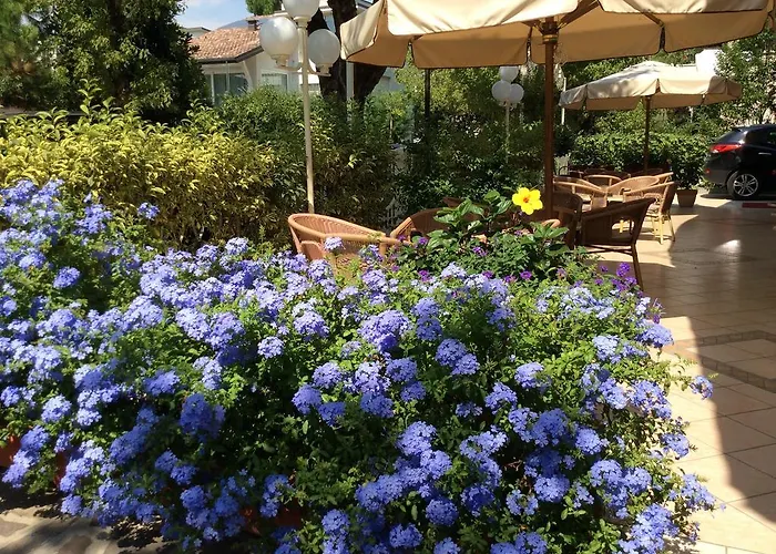 Donatello Cesenatico